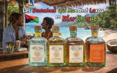 Les Domaines Qui Montent Laxou en Martinique